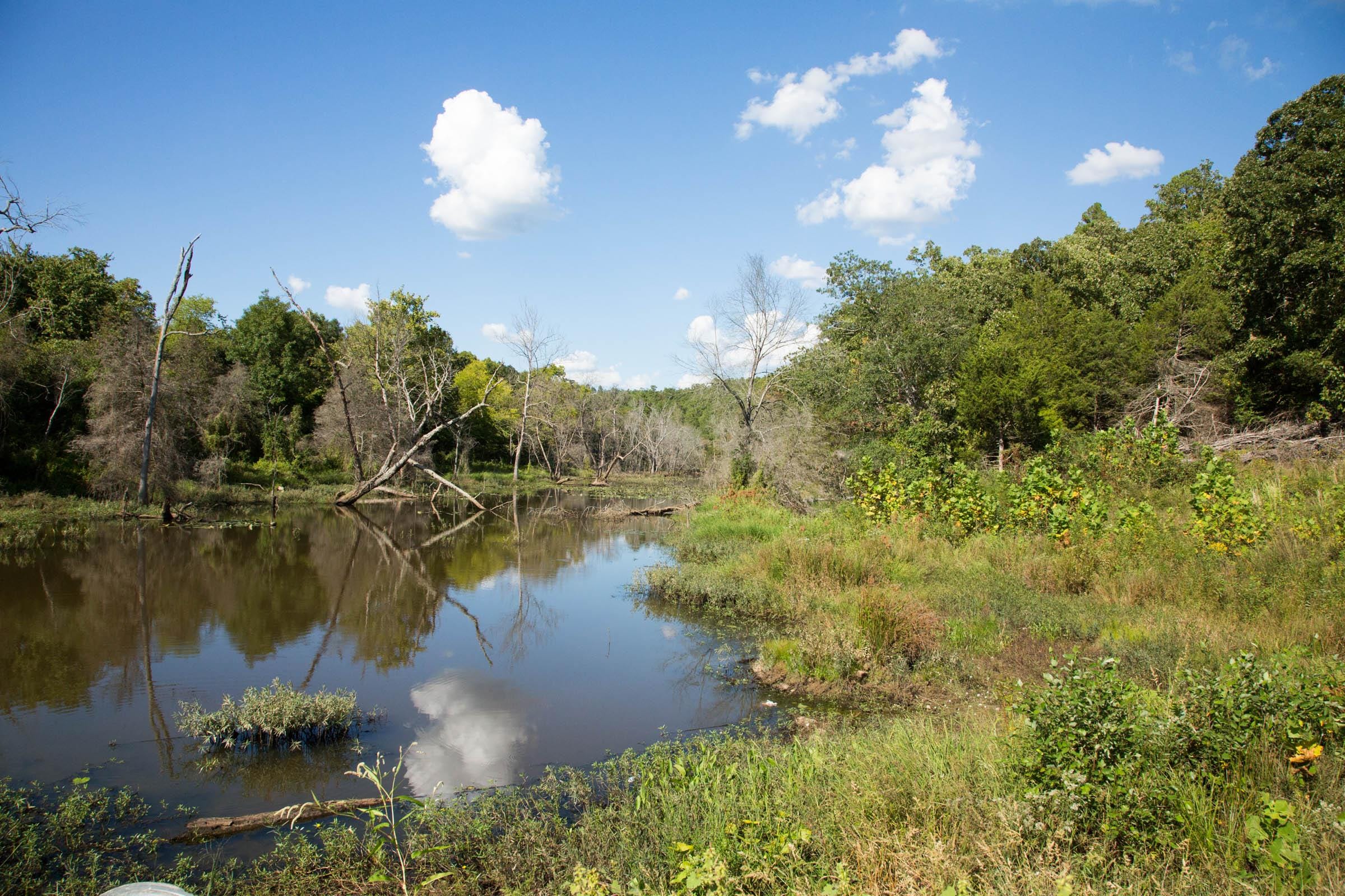 Stone Creek Phase II Tract 265 photo 6