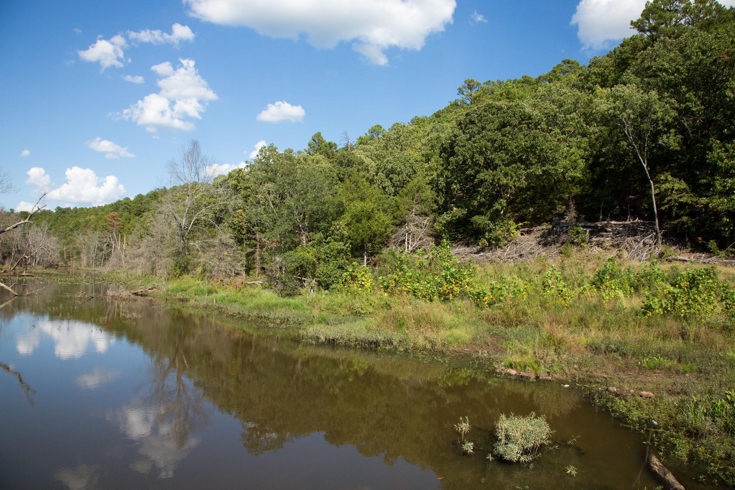 Stone Creek Phase II Tract 265 photo 8