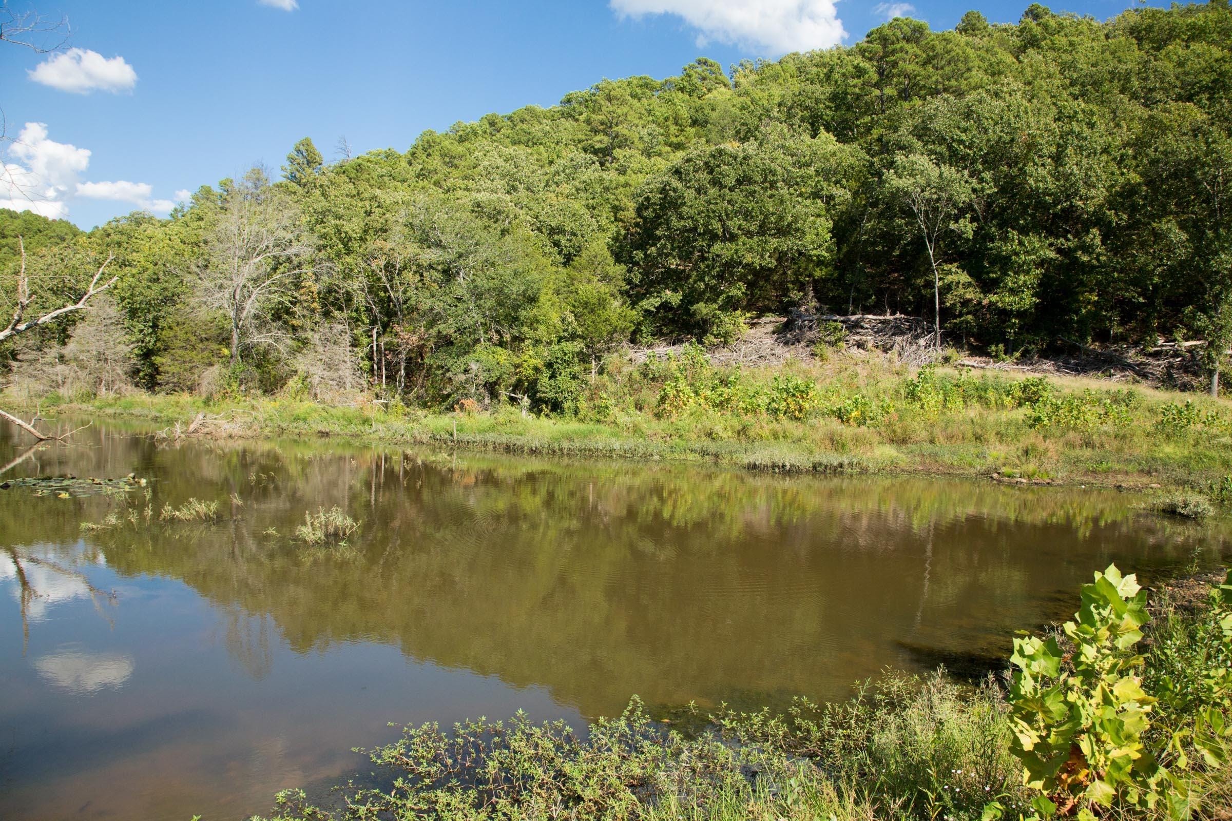 Stone Creek Phase II Tract 265 photo 10
