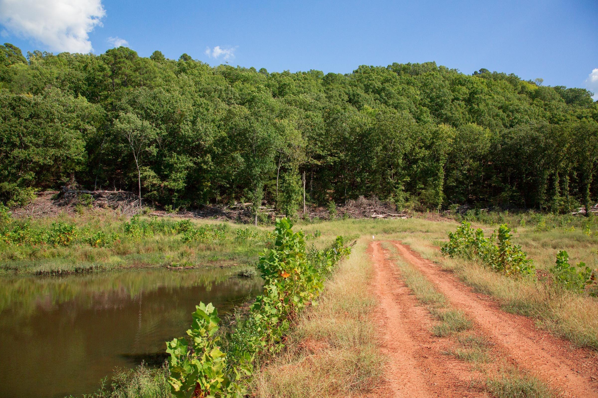 Stone Creek Phase II Tract 265 photo 11