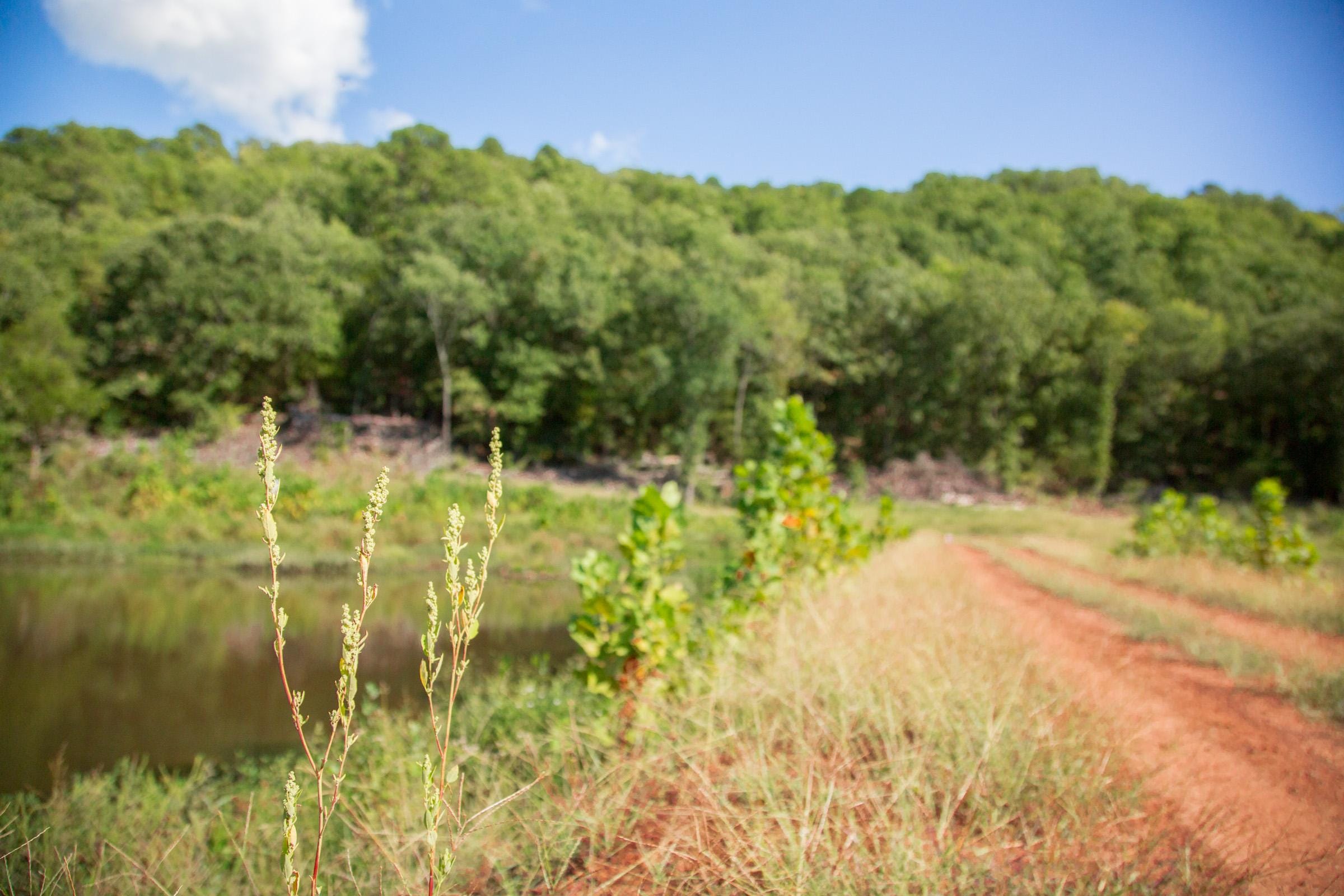 Stone Creek Phase II Tract 265 photo 12