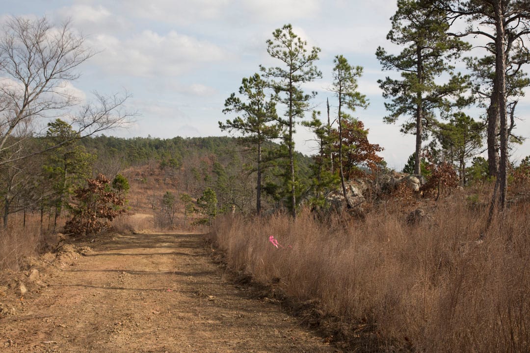 Stone Creek Phase III Tract 74 photo 2