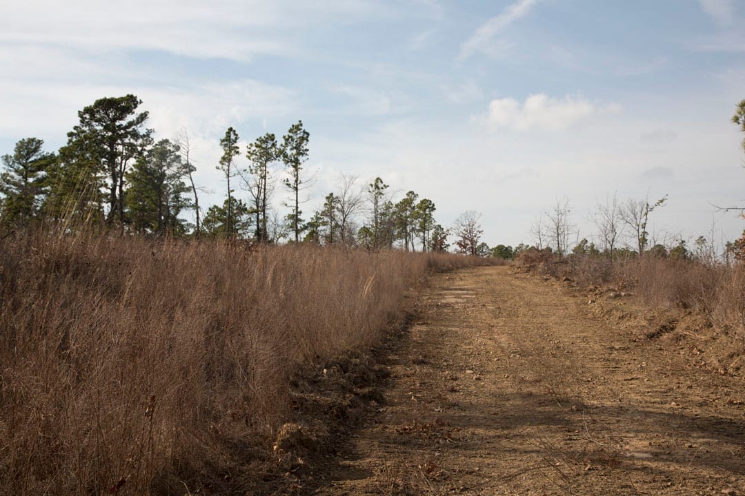 Stone Creek Phase III Tract 74 photo 3