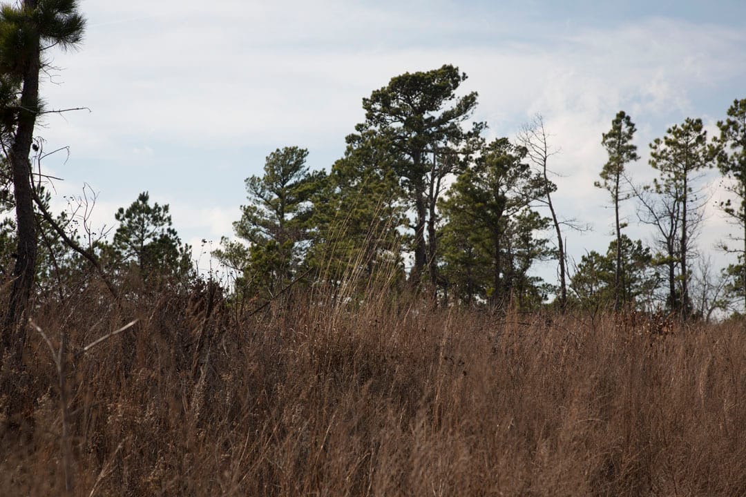 Stone Creek Phase III Tract 74 photo 4