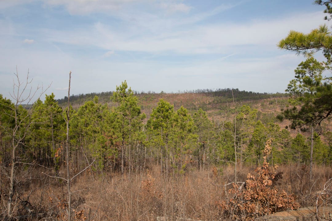 Stone Creek Phase III Tract 74 photo 5