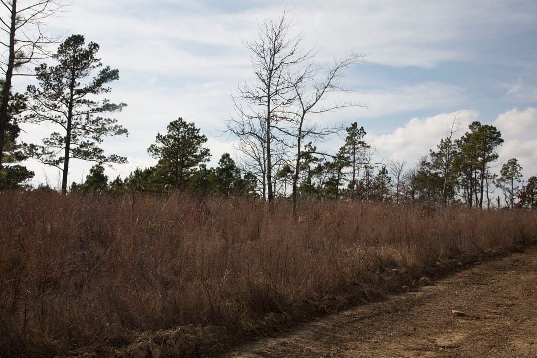 Stone Creek Phase III Tract 74 photo 7