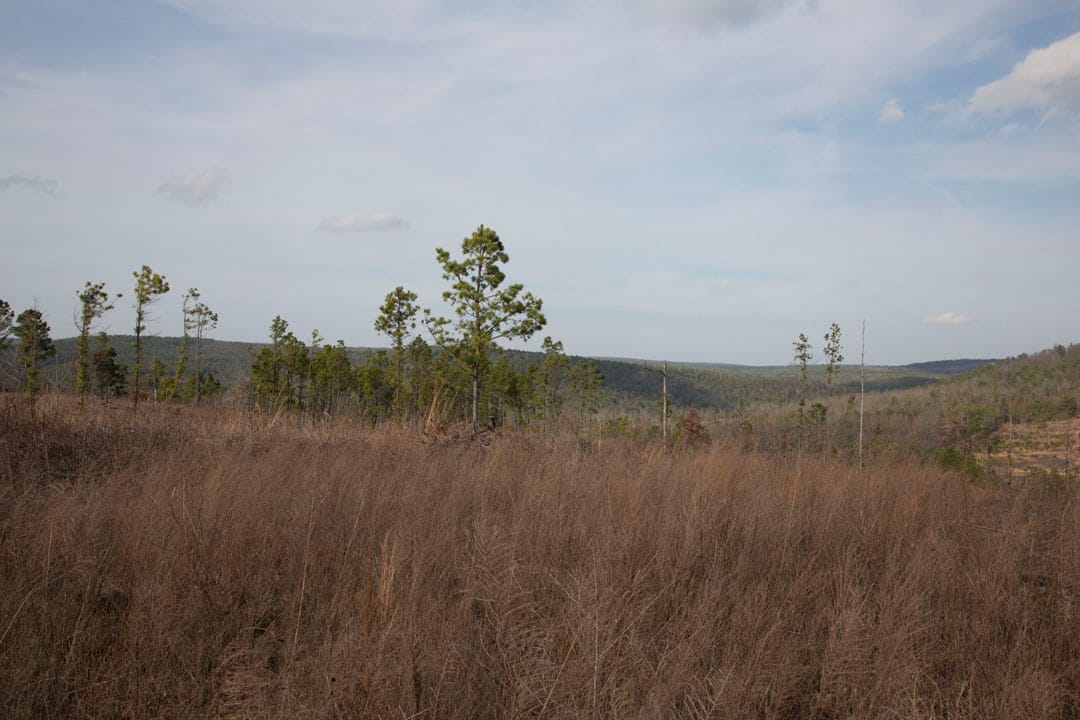 Stone Creek Phase III Tract 74 photo 9