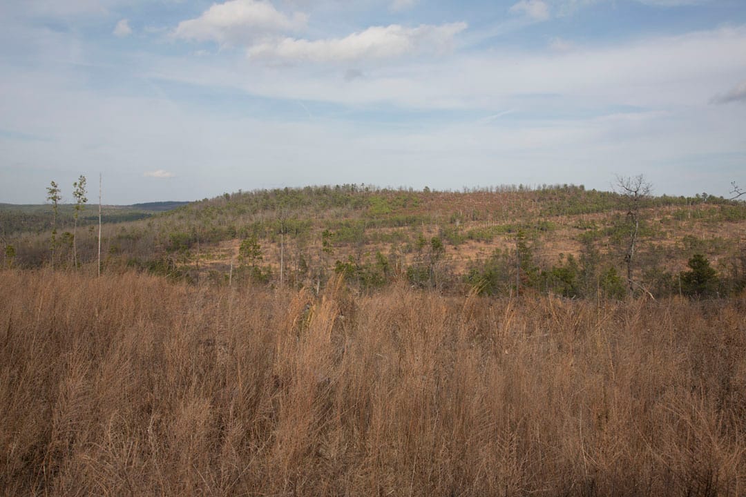 Stone Creek Phase III Tract 74 photo 10