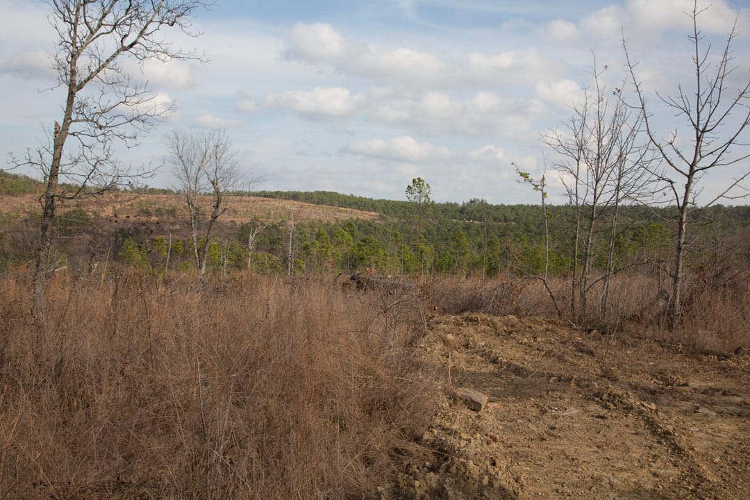 Stone Creek Phase III Tract 74 photo 11
