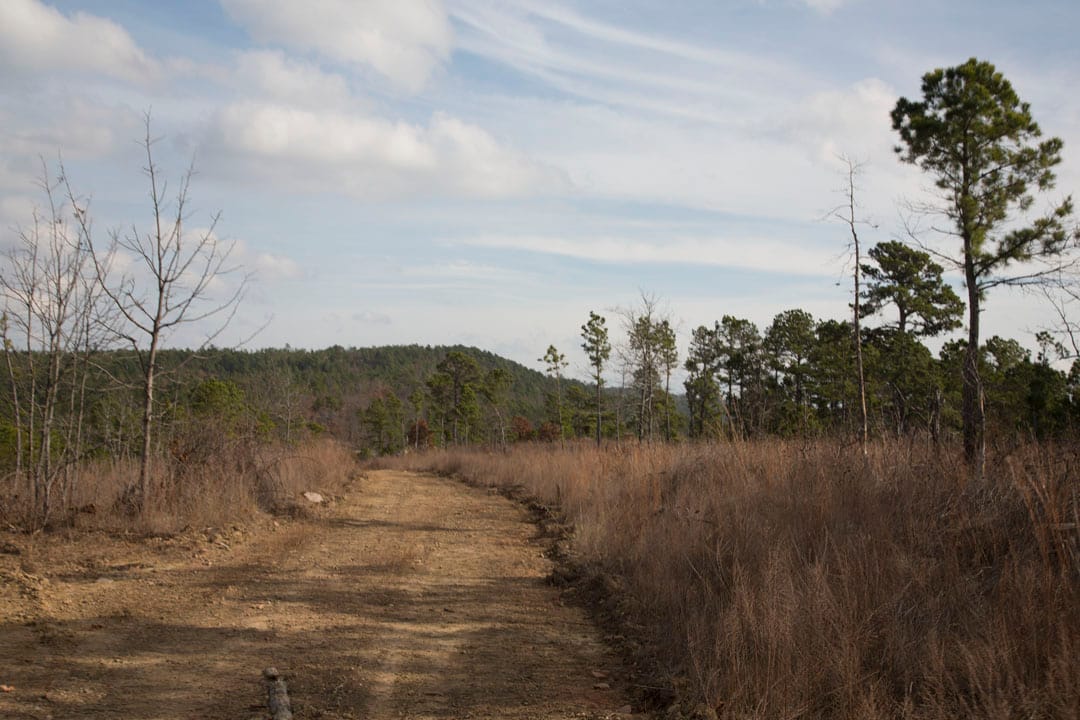 Stone Creek Phase III Tract 74 photo 12