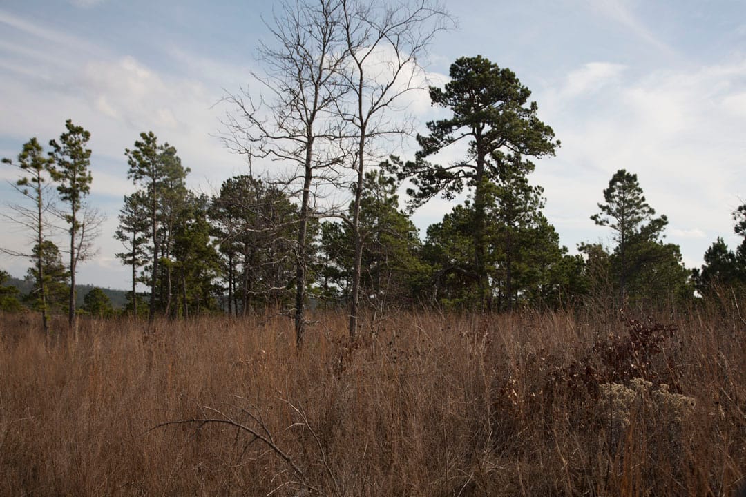 Stone Creek Phase III Tract 74 photo 13