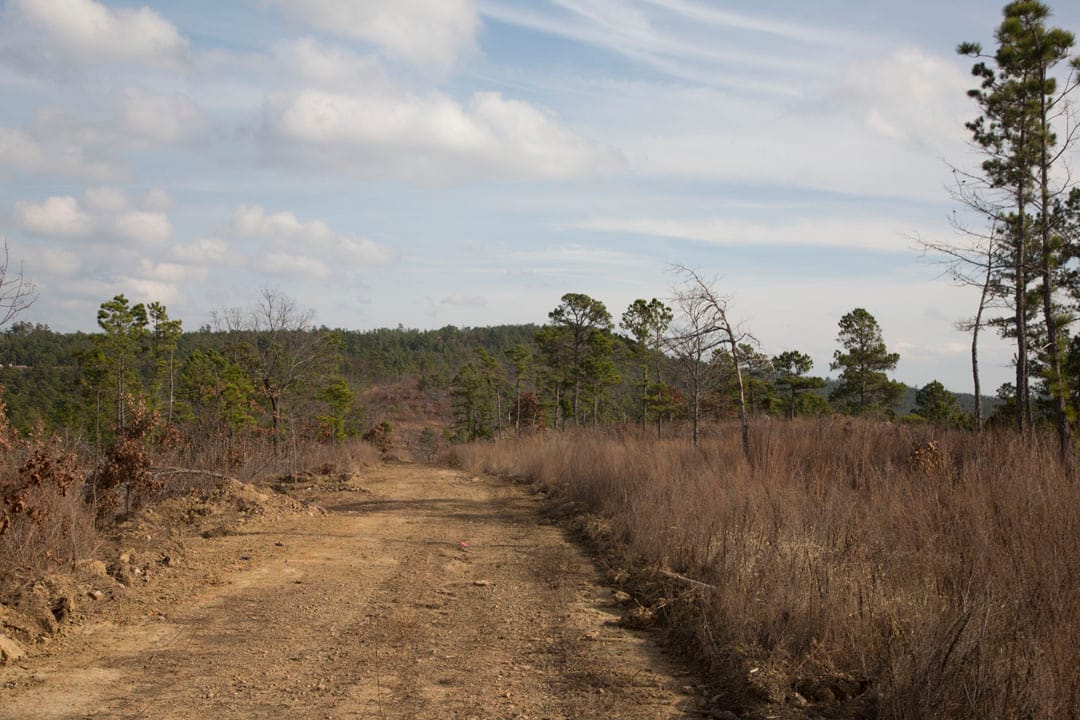 Stone Creek Phase III Tract 74 photo 14