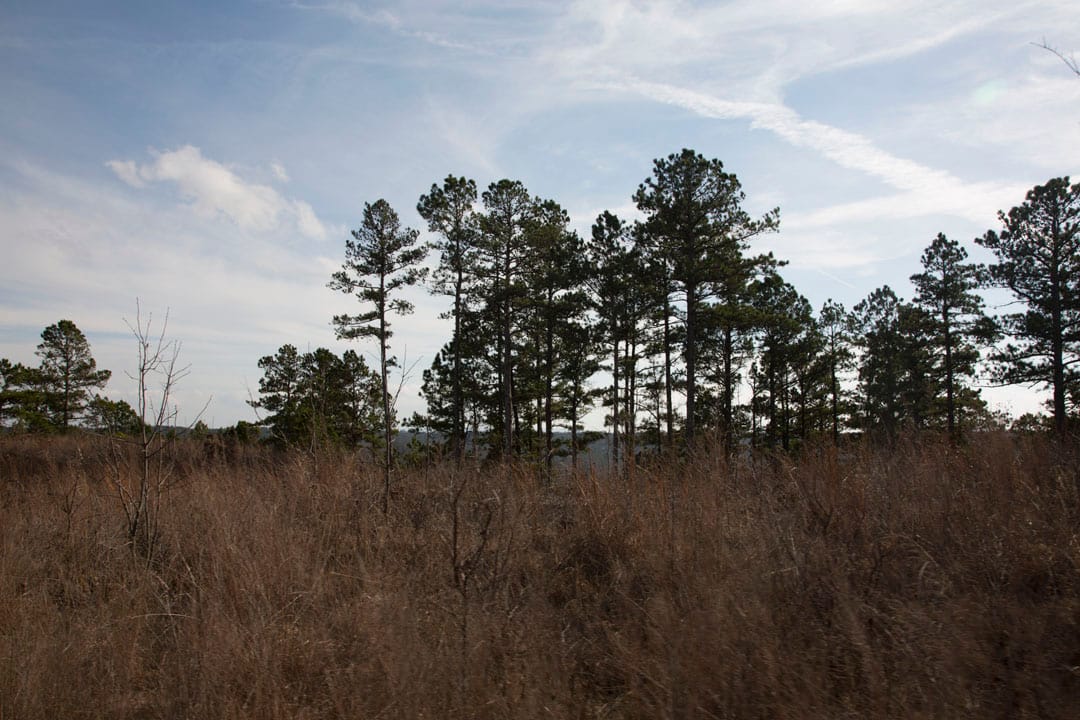 Stone Creek Phase III Tract 74 photo 15