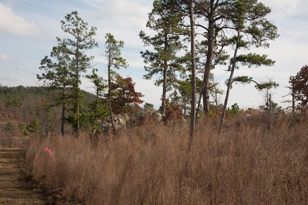 Stone Creek Phase III Tract 74 photo 16