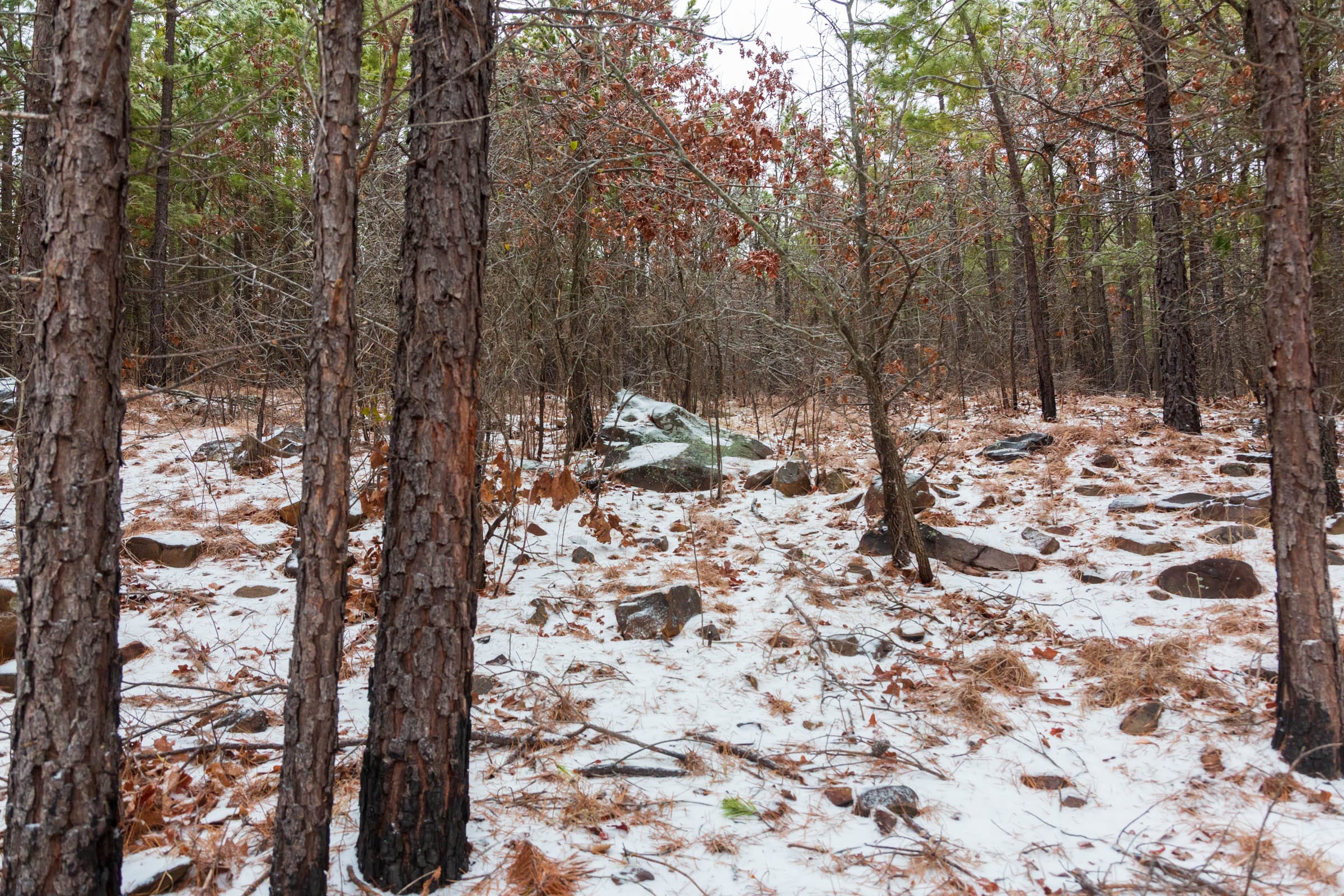 Stone Bridge Phase IV Tract 236 photo 7