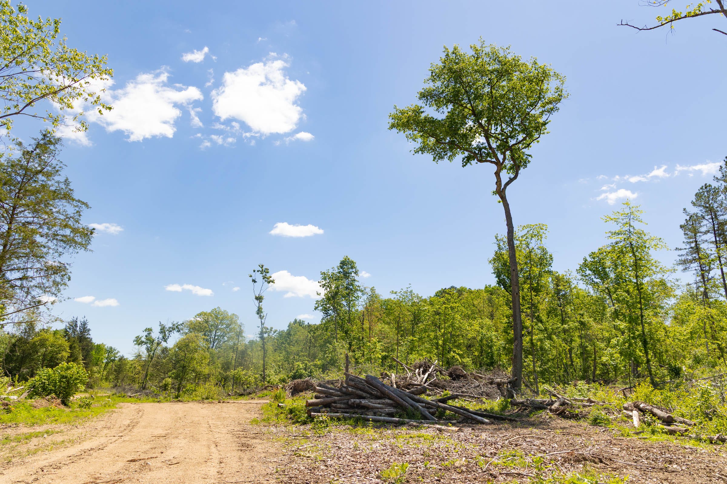 Stardust Estates Tract 1 photo 23