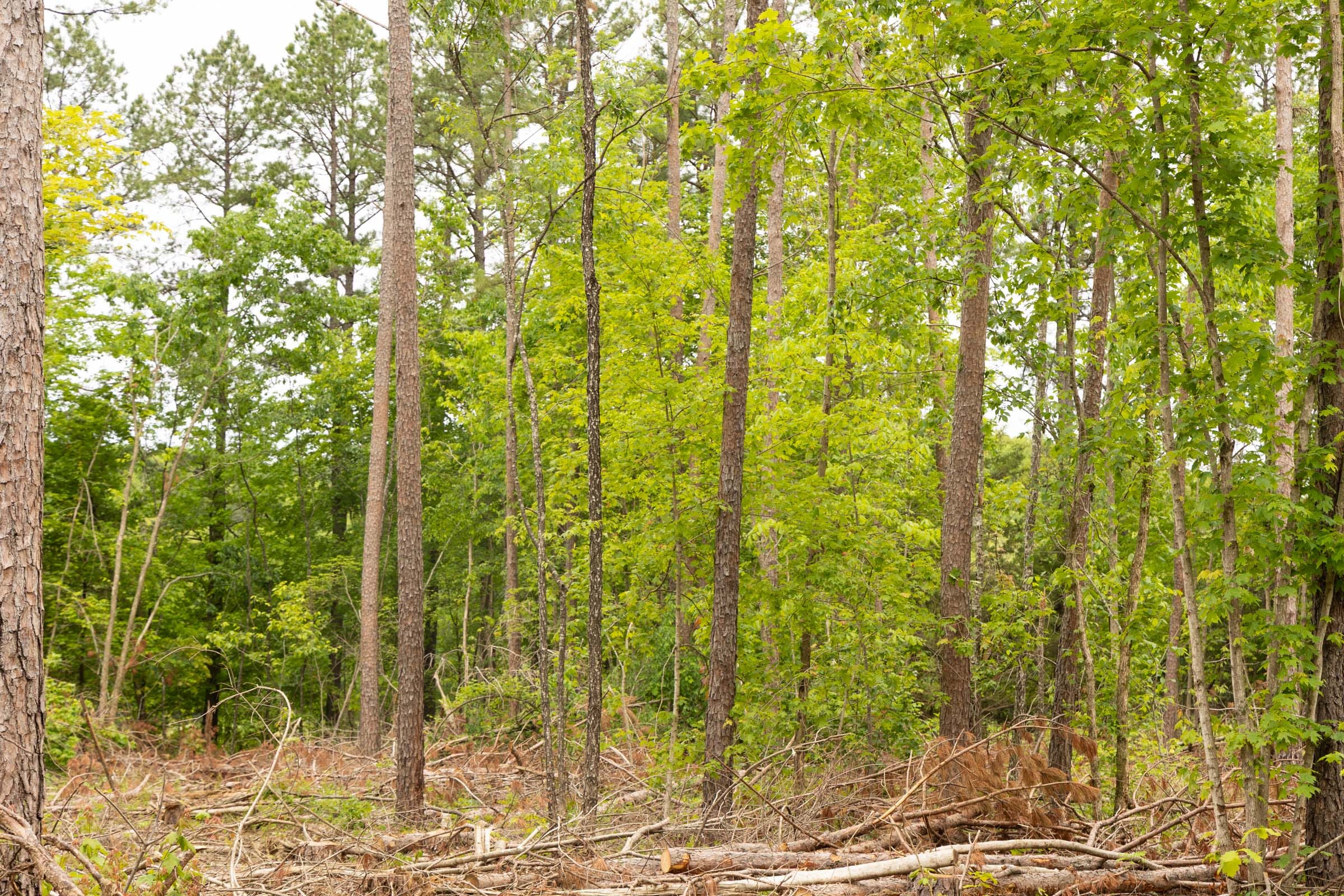 Stardust Estates Tract 1 photo 19