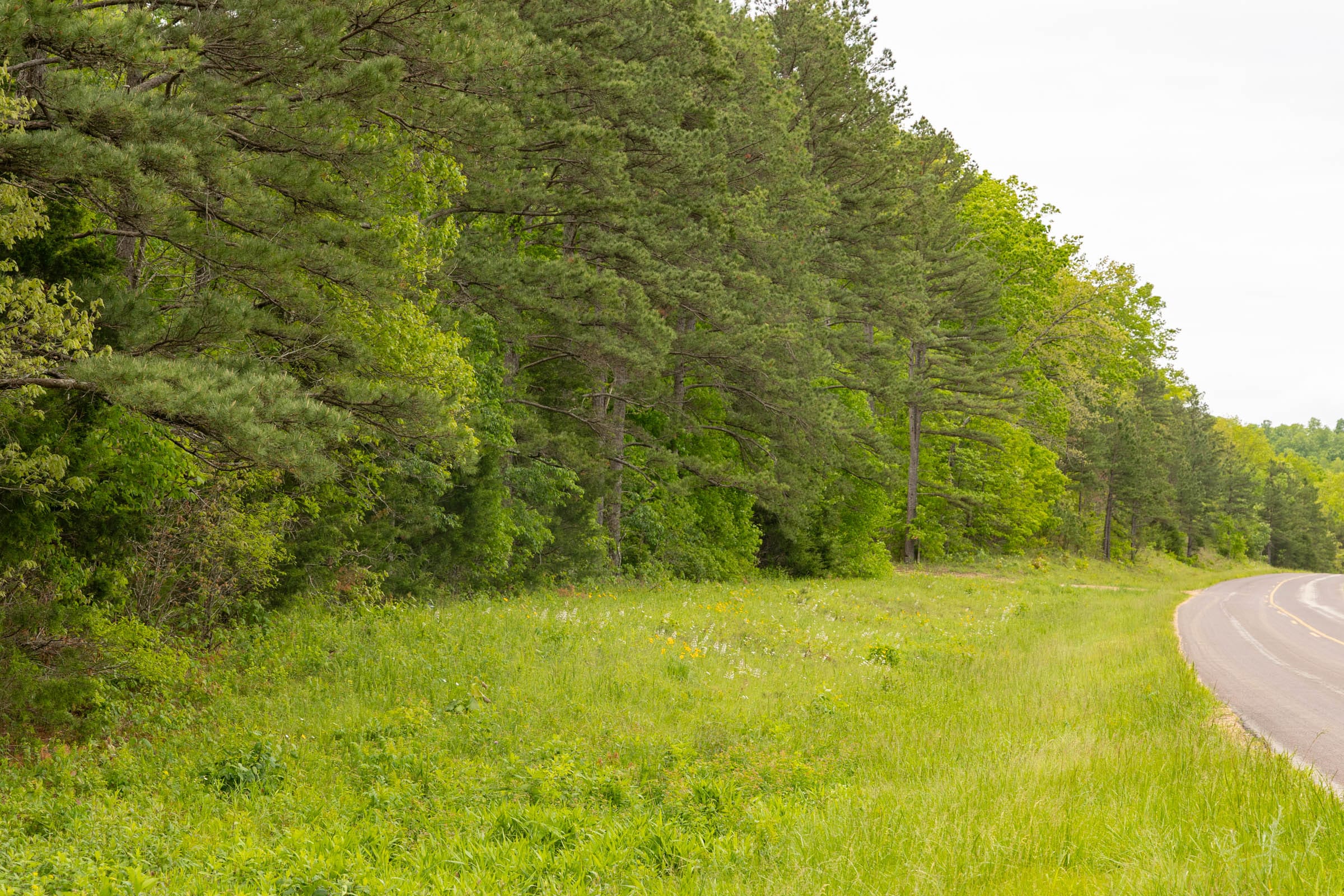 Stardust Estates Tract 1 photo 17