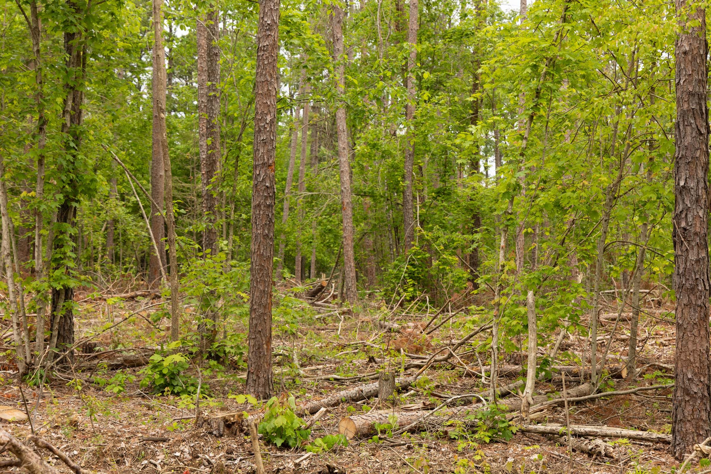 Stardust Estates Tract 1 photo 15