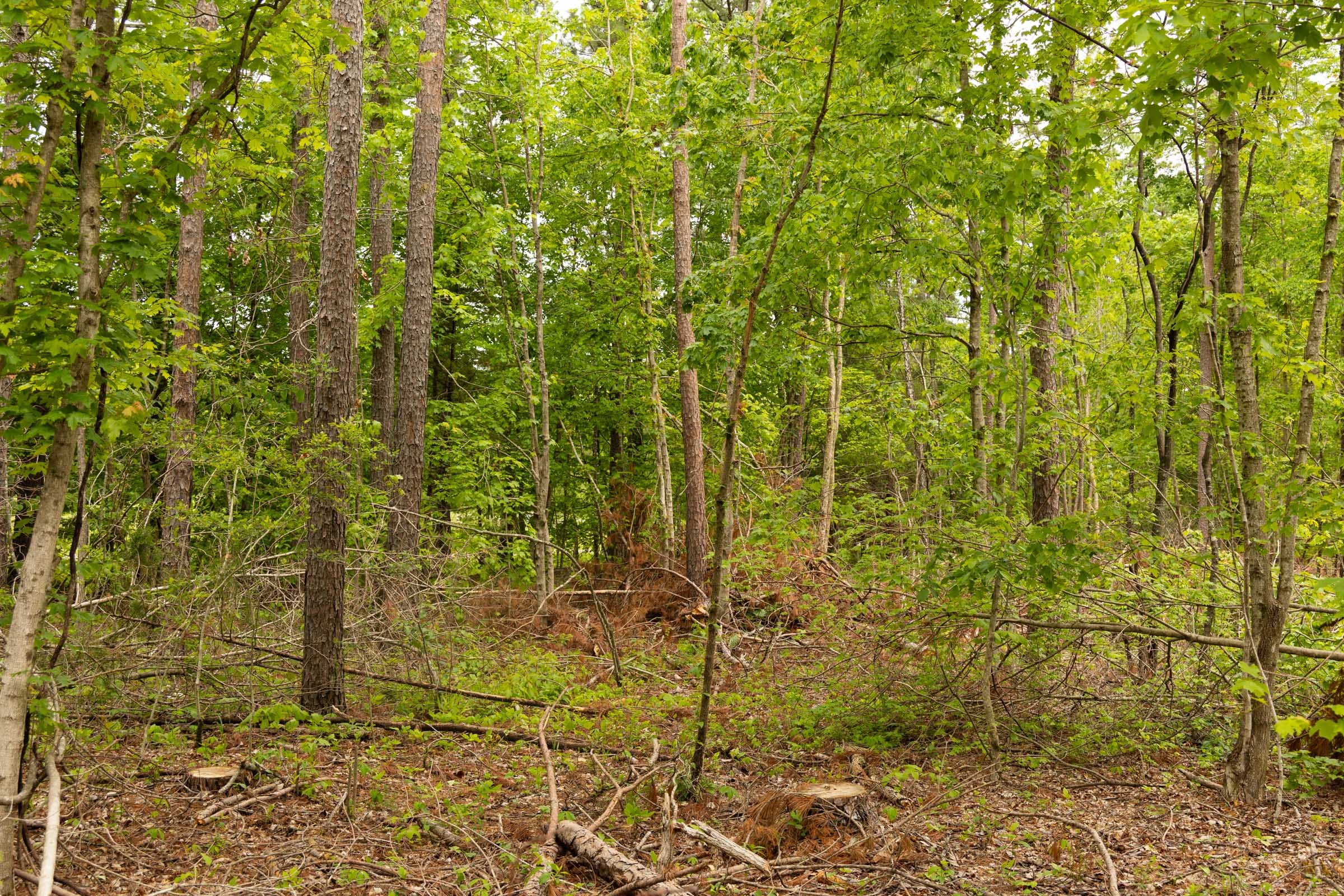 Stardust Estates Tract 1 photo 10