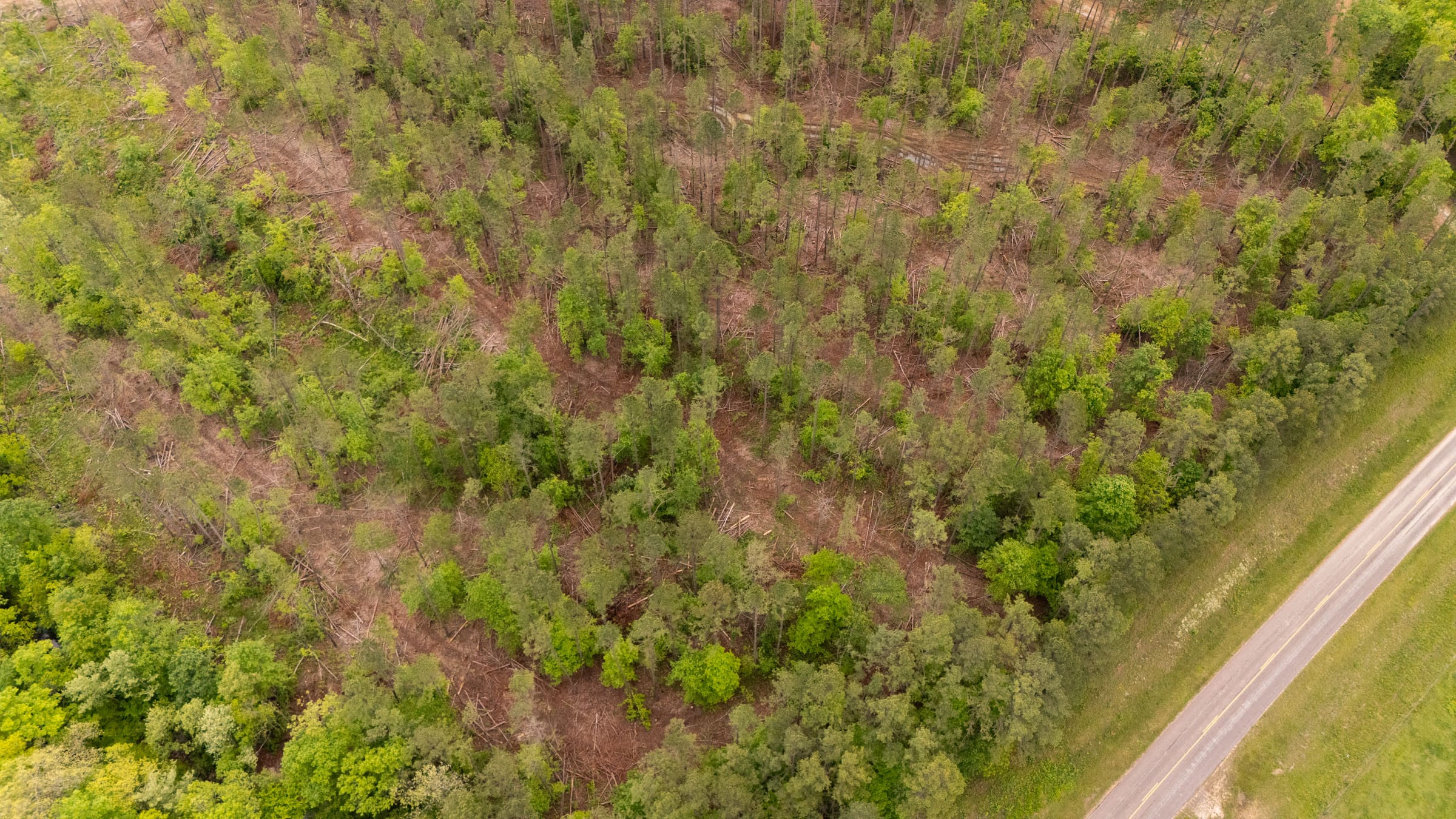 Stardust Estates Tract 1 photo 13
