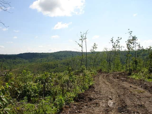 Antler Ridge Tract 31 photo 1