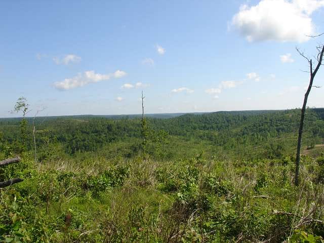 Antler Ridge Tract 31 photo 2