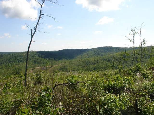 Antler Ridge Tract 31 photo 3