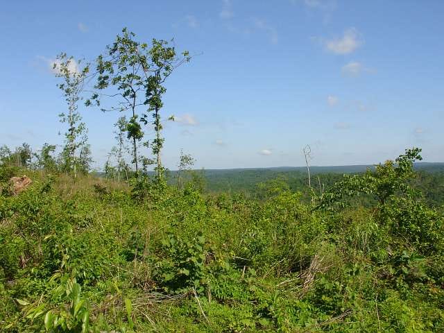 Antler Ridge Tract 31 photo 4
