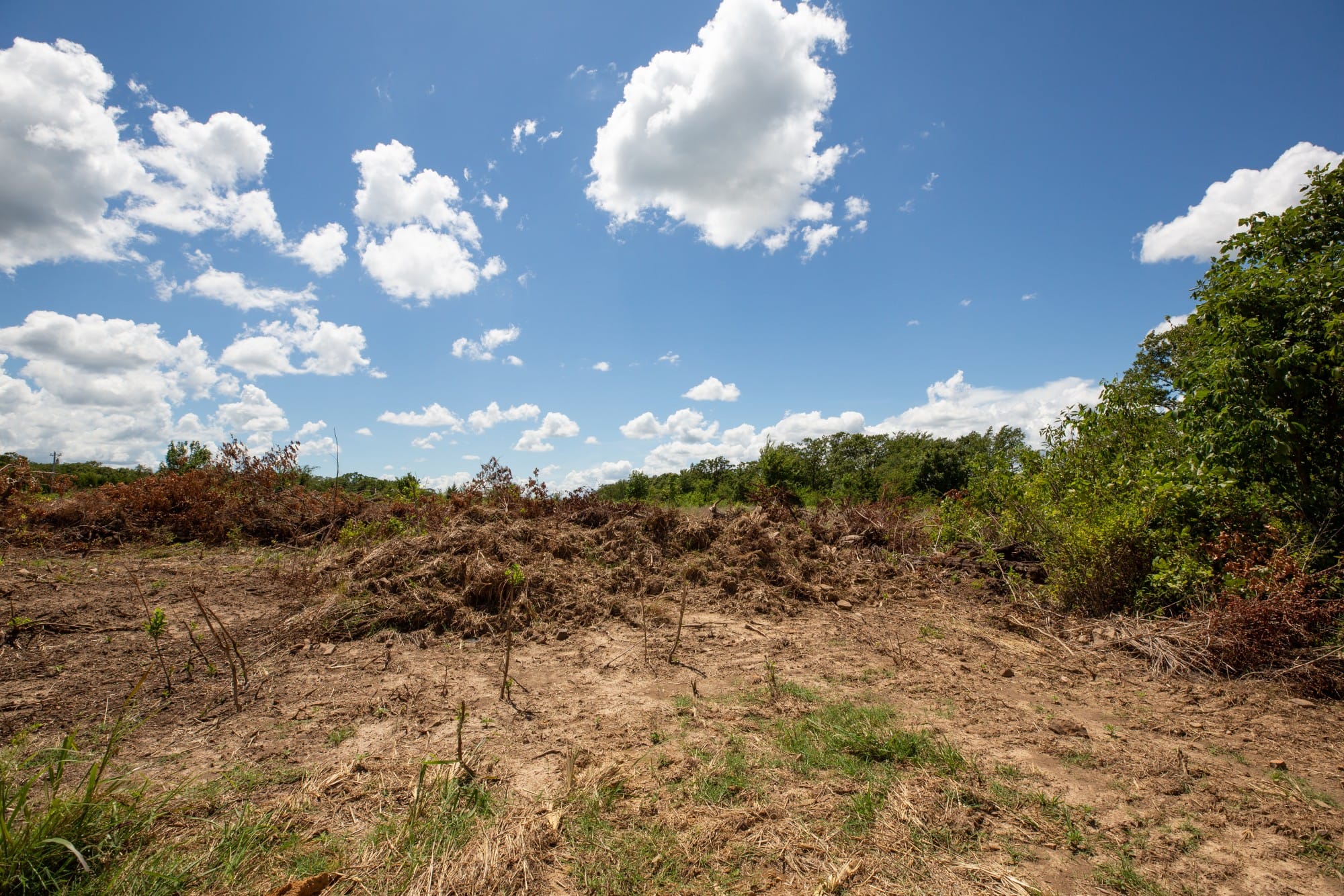 Paradise Valley Tract 25 photo 13