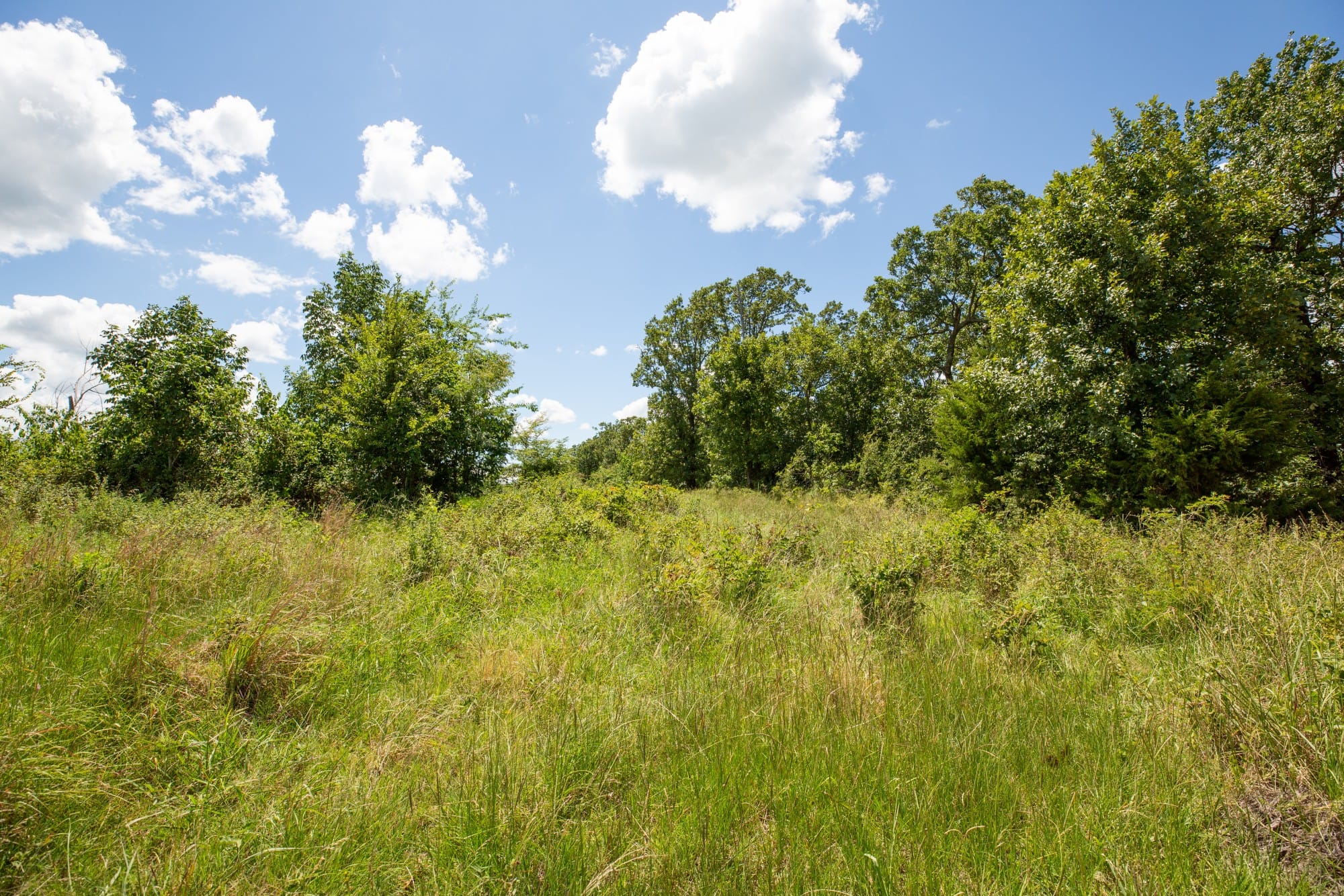 Paradise Valley Tract 25 photo 2