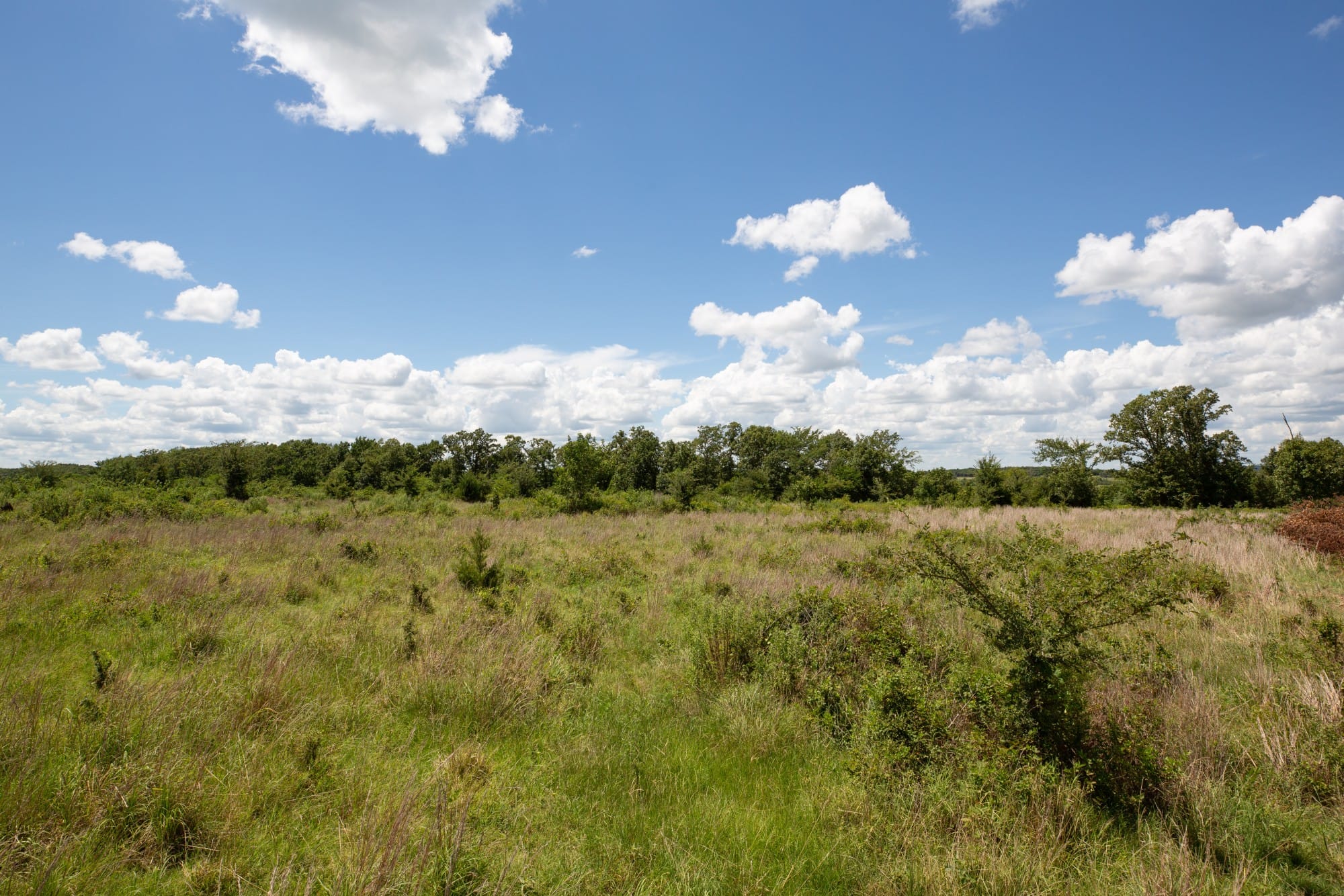 Paradise Valley Tract 25 photo 3