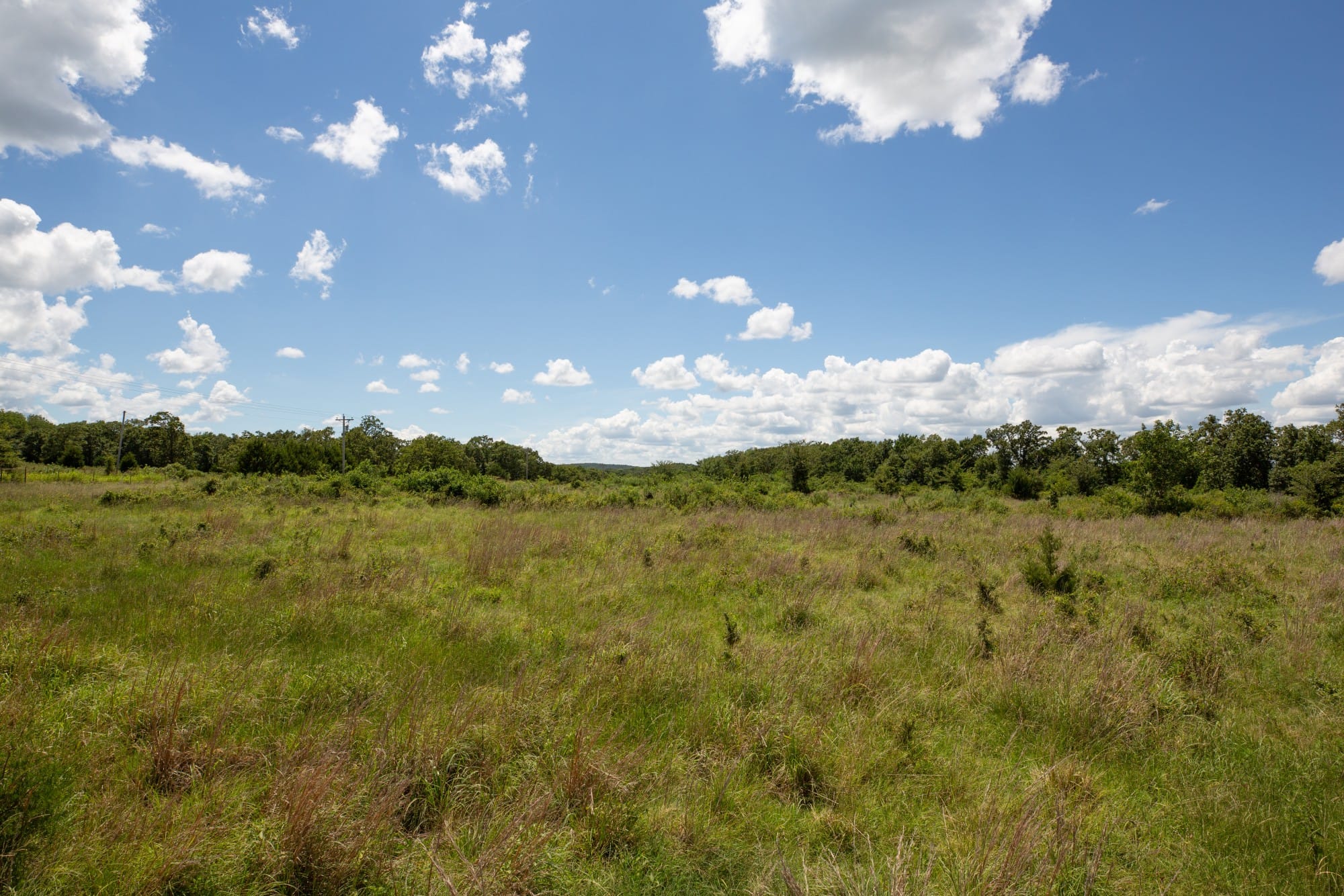 Paradise Valley Tract 25 photo 4