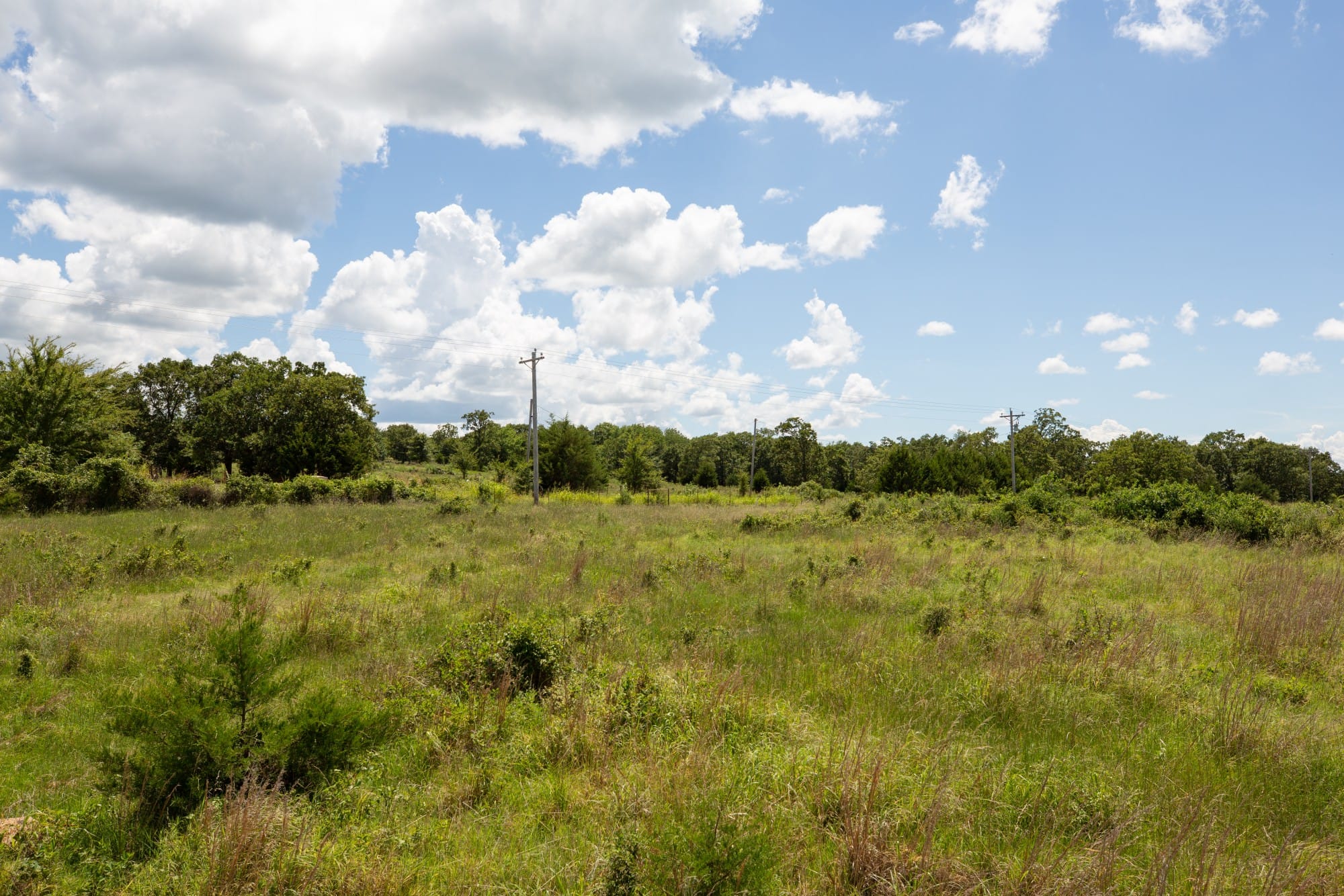 Paradise Valley Tract 25 photo 6