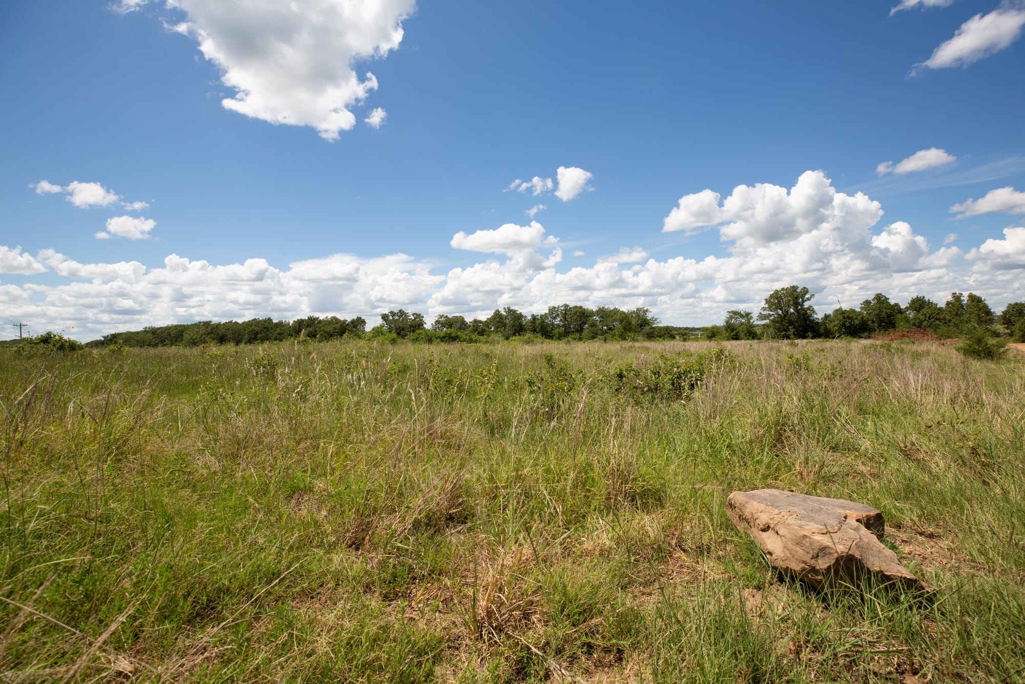 Paradise Valley Tract 25 photo 7