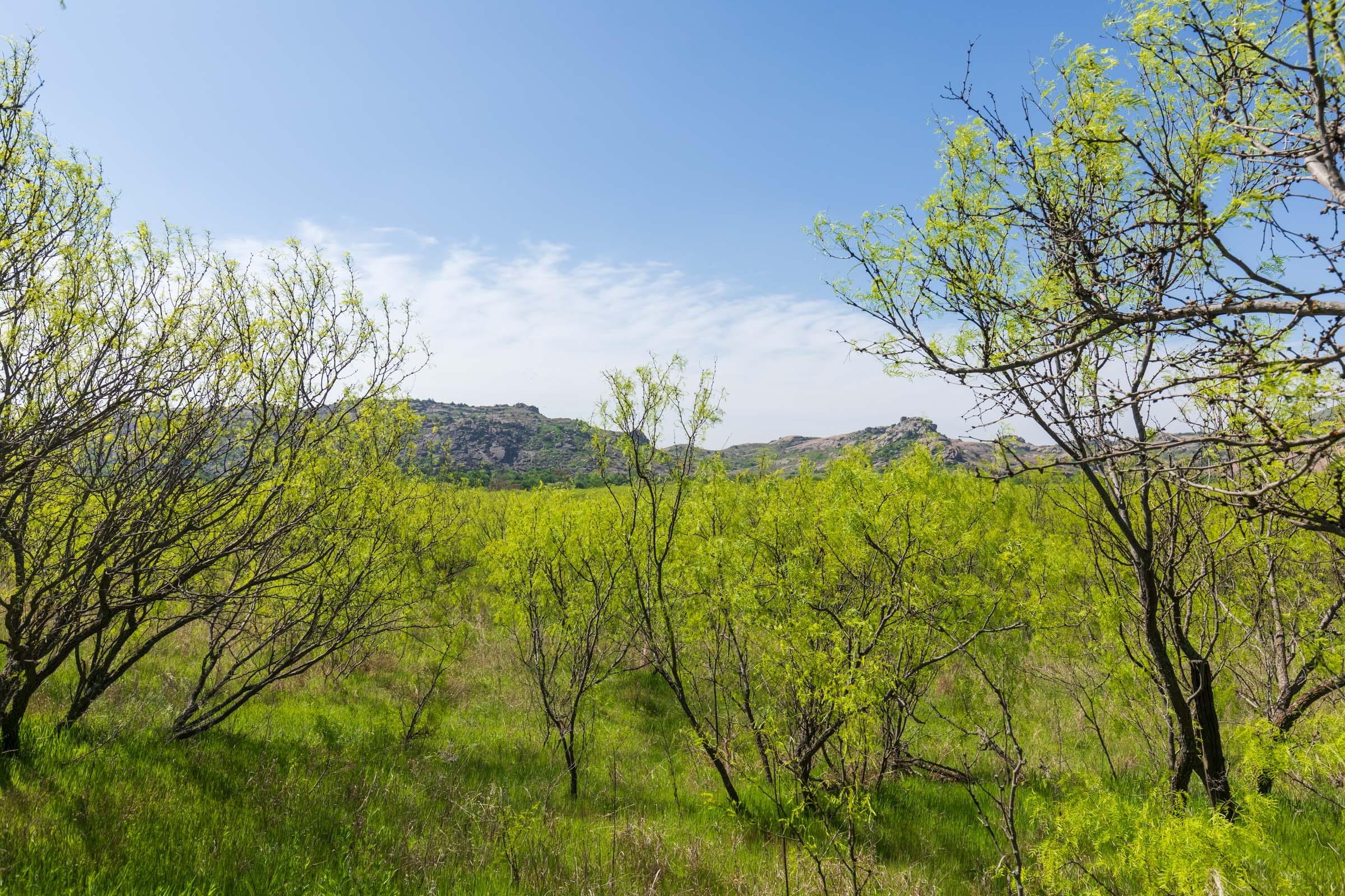 Hackberry Fields Tract 19 photo 9