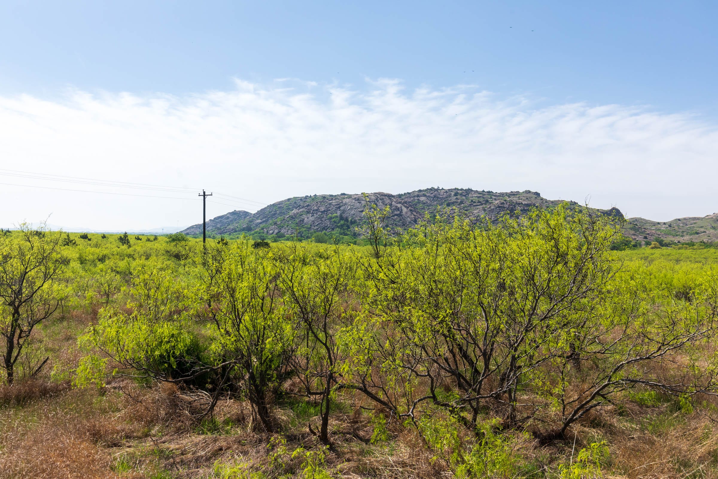 Hackberry Fields Tract 19 photo 2