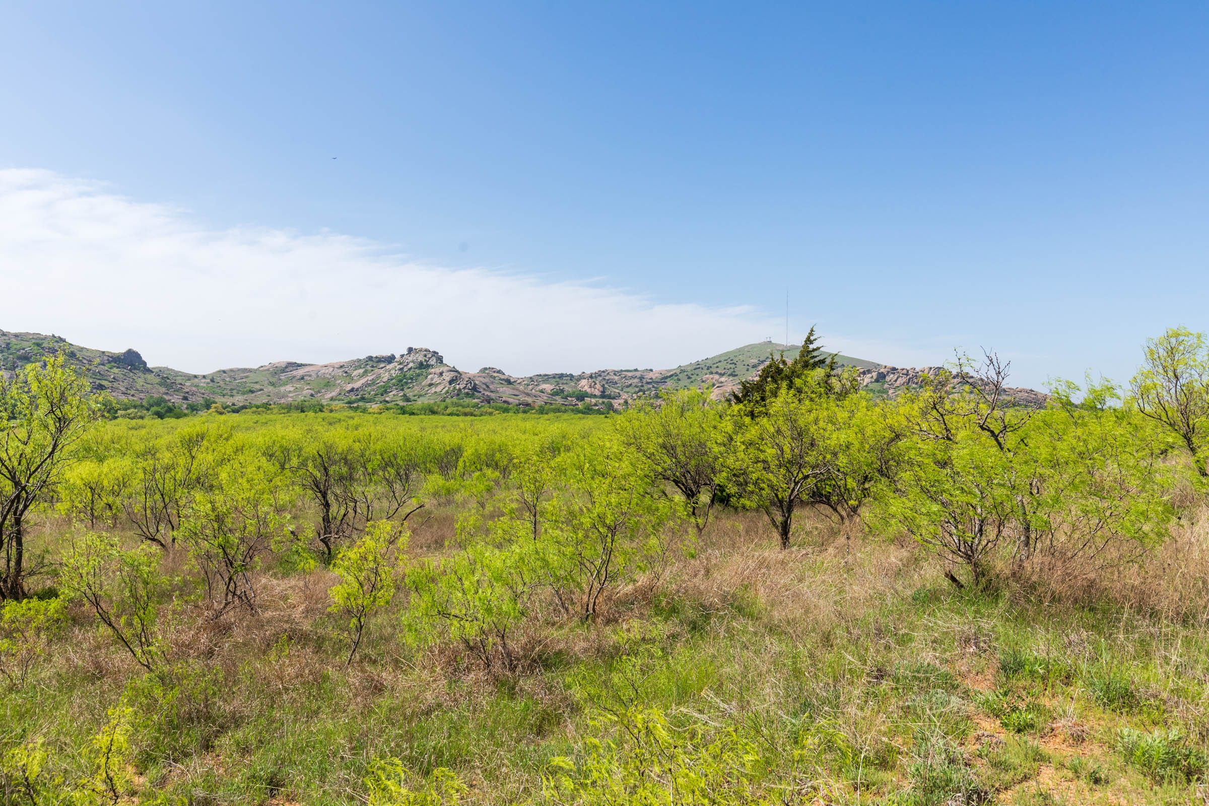 Hackberry Fields Tract 19 photo 6