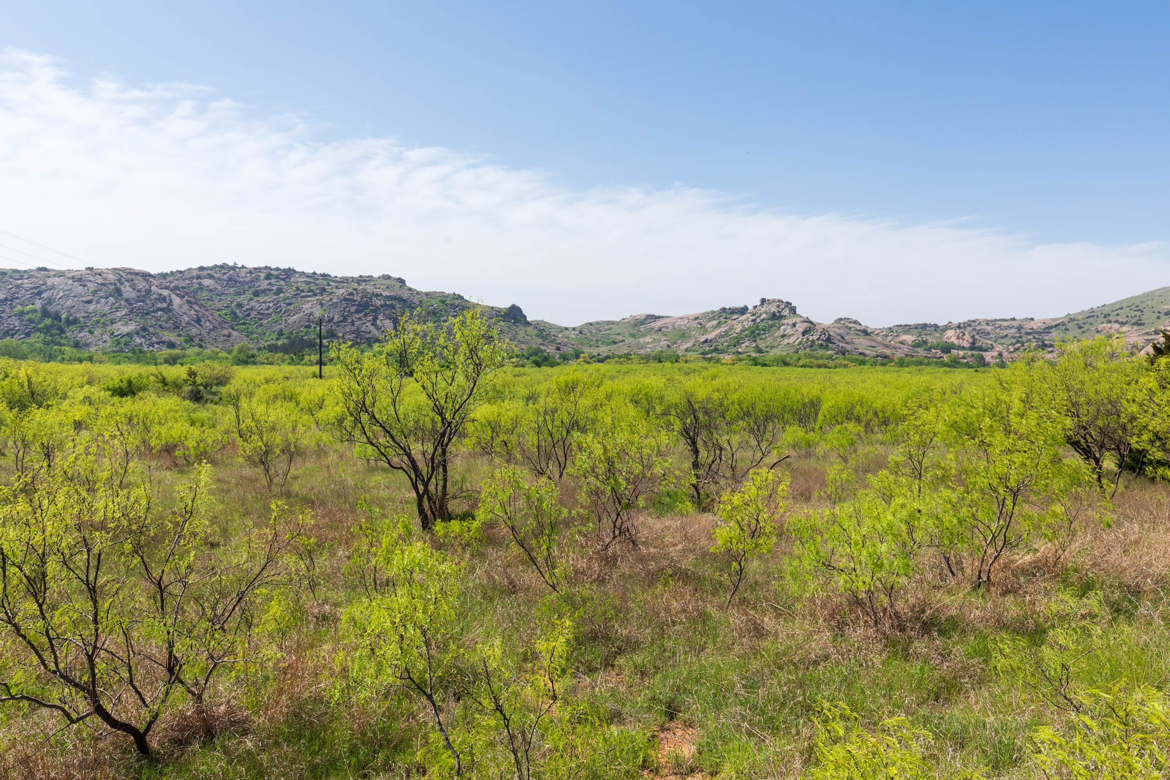 Hackberry Fields Tract 19 photo 12