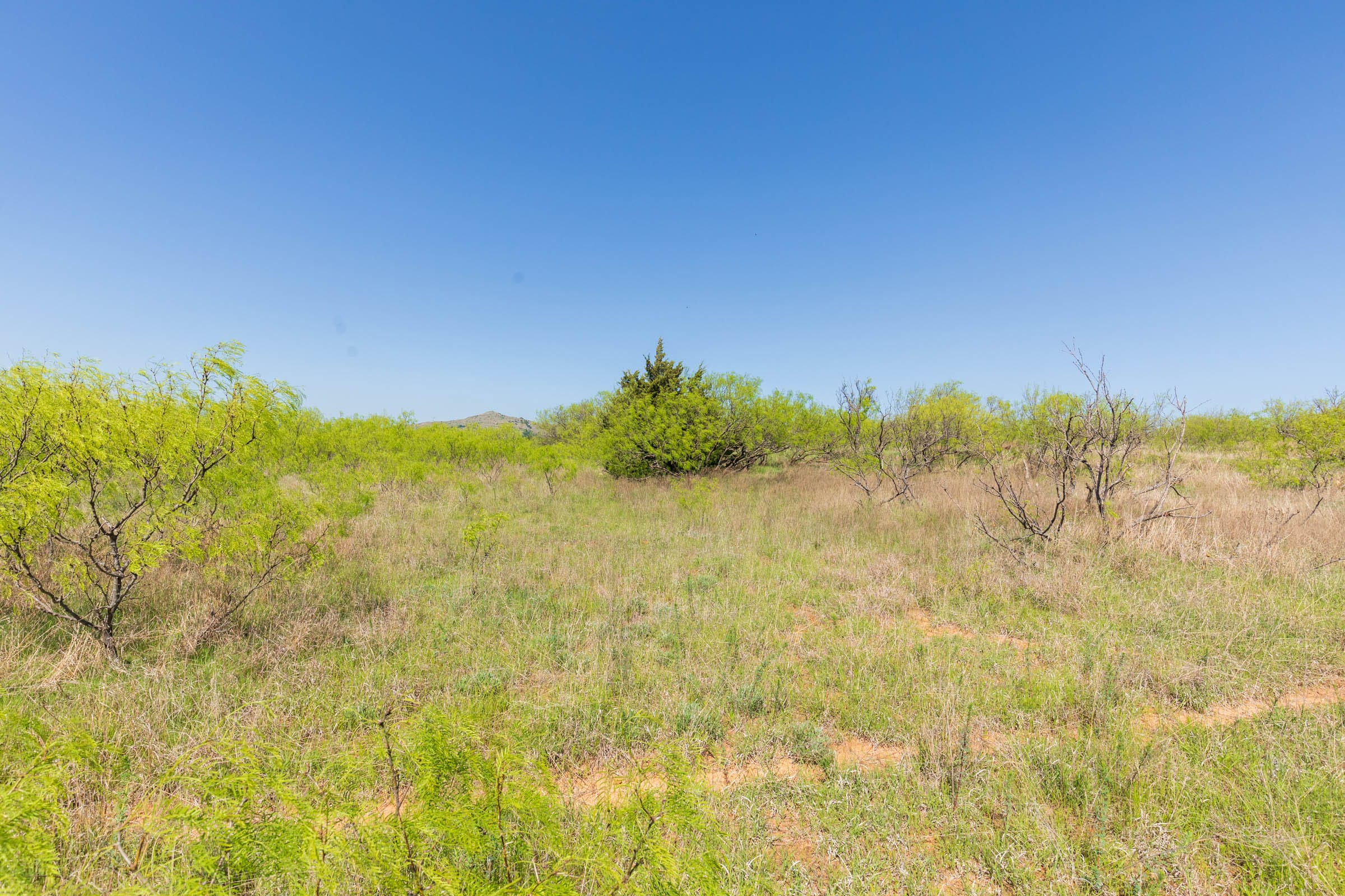 Hackberry Fields Tract 19 photo 5
