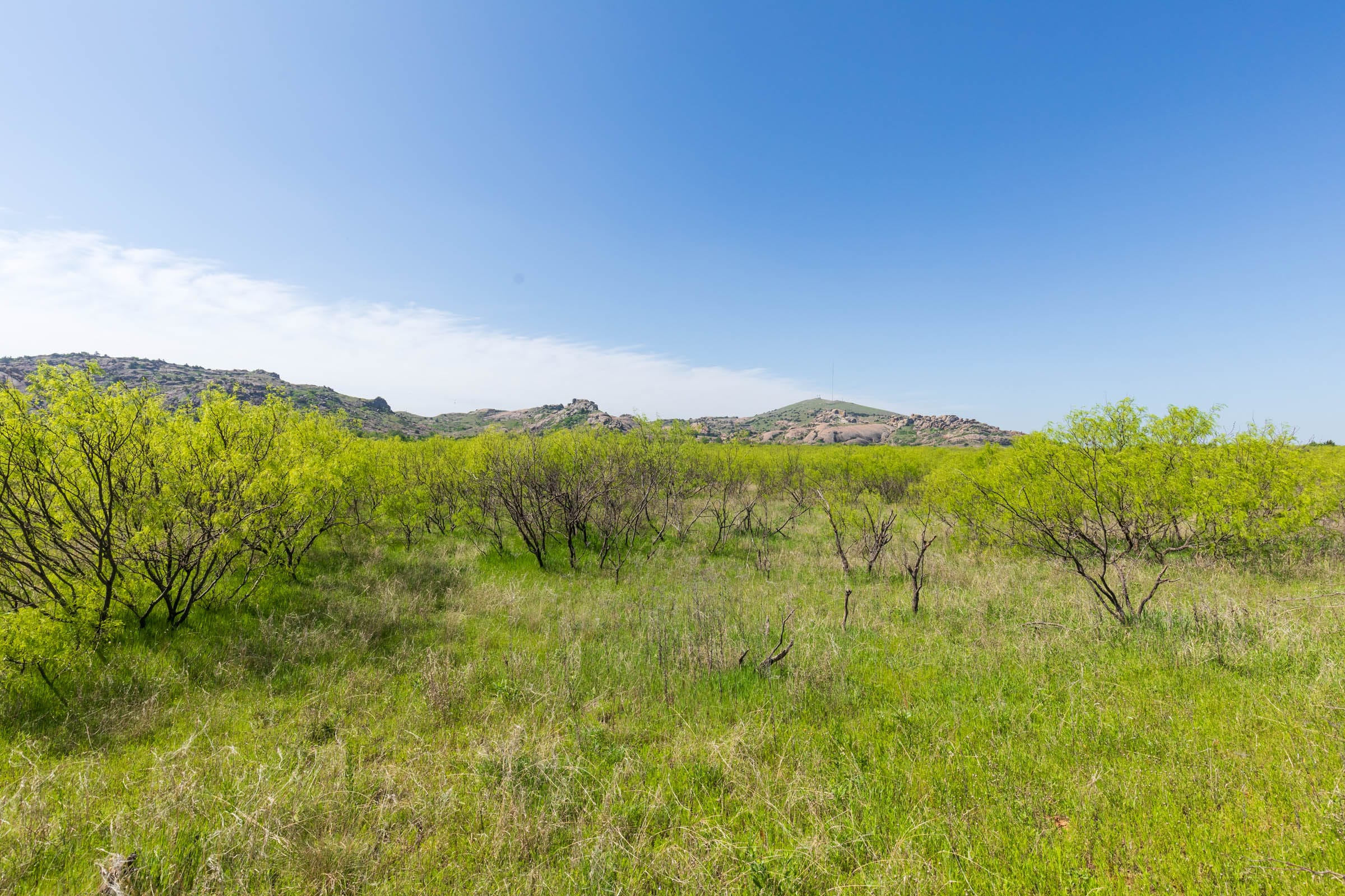 Hackberry Fields Tract 19 photo 11