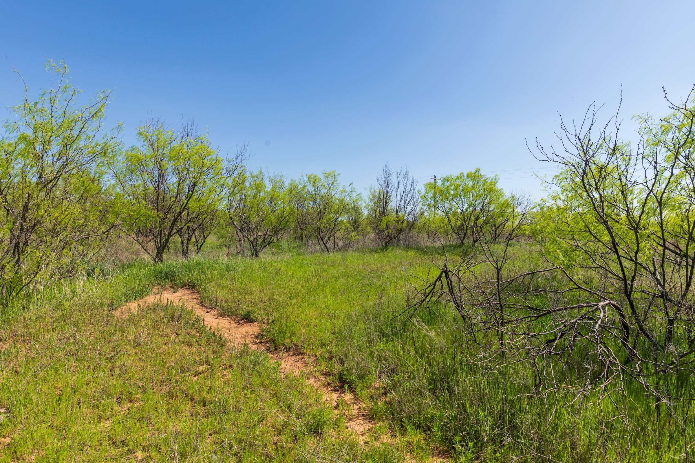 Hackberry Fields Tract 19 photo 13