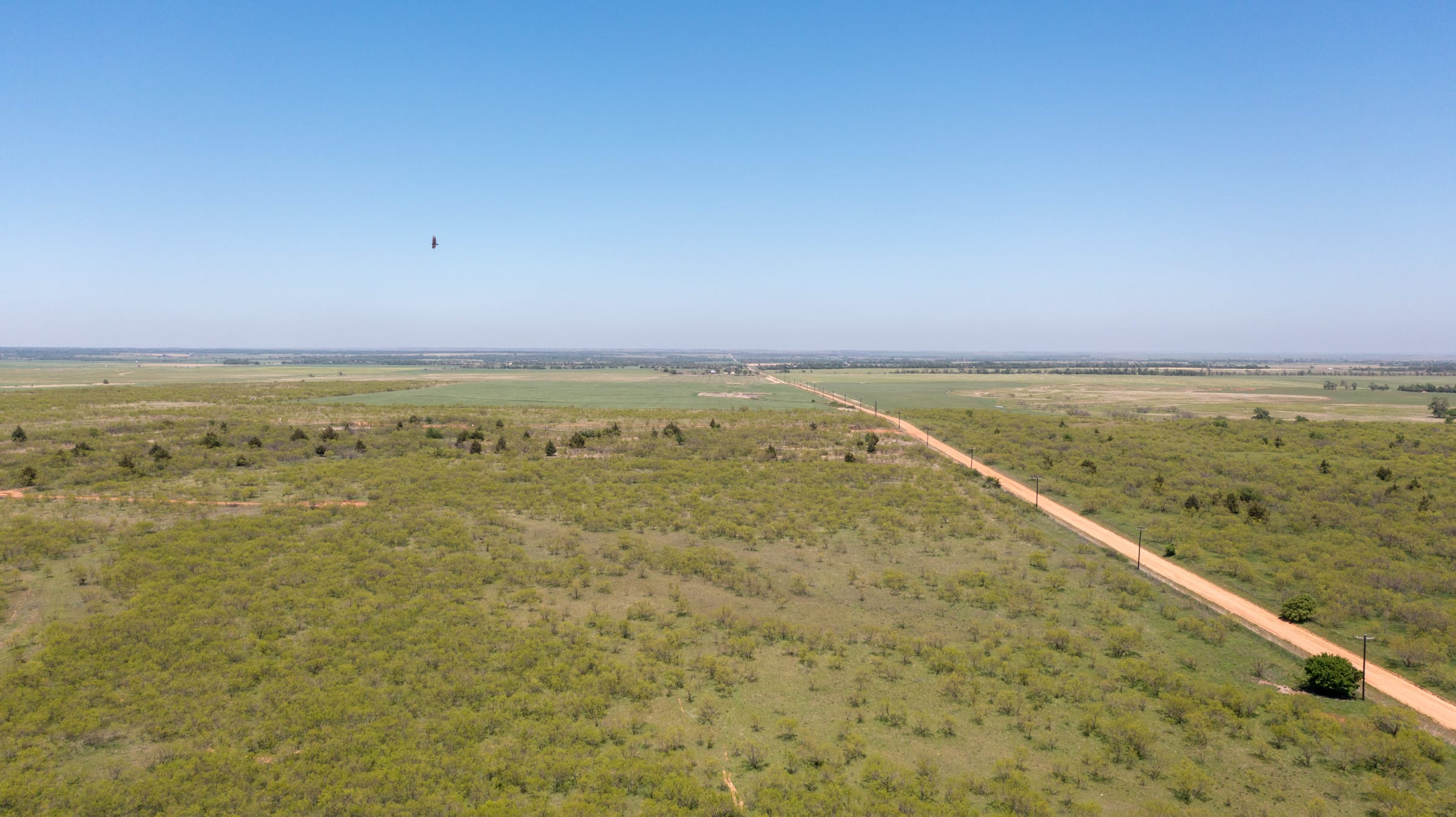 Hackberry Fields Tract 19 photo 7