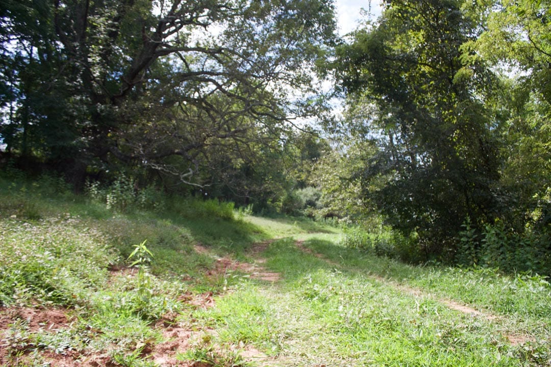 Heritage Hollow Tract 20 photo 2