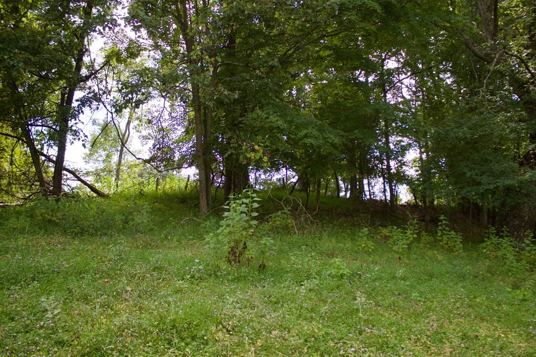 Heritage Hollow Tract 20 photo 3