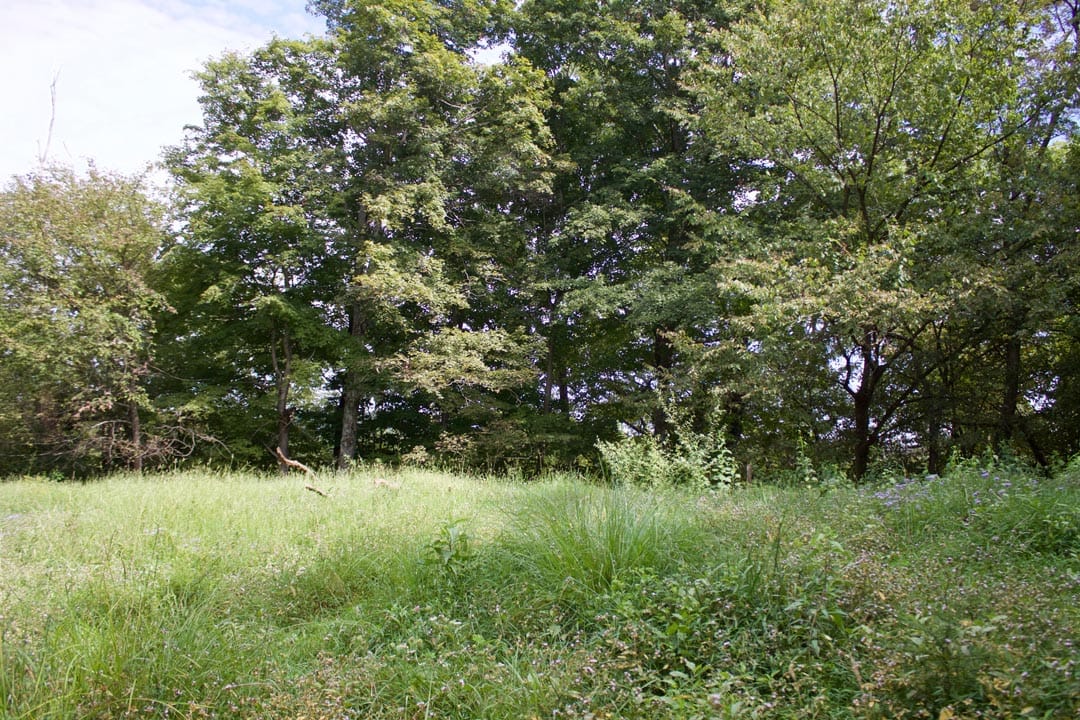 Heritage Hollow Tract 20 photo 4