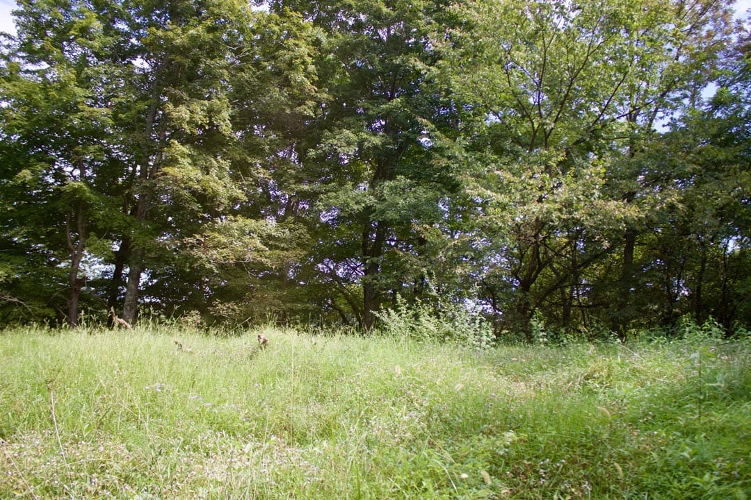 Heritage Hollow Tract 20 photo 5