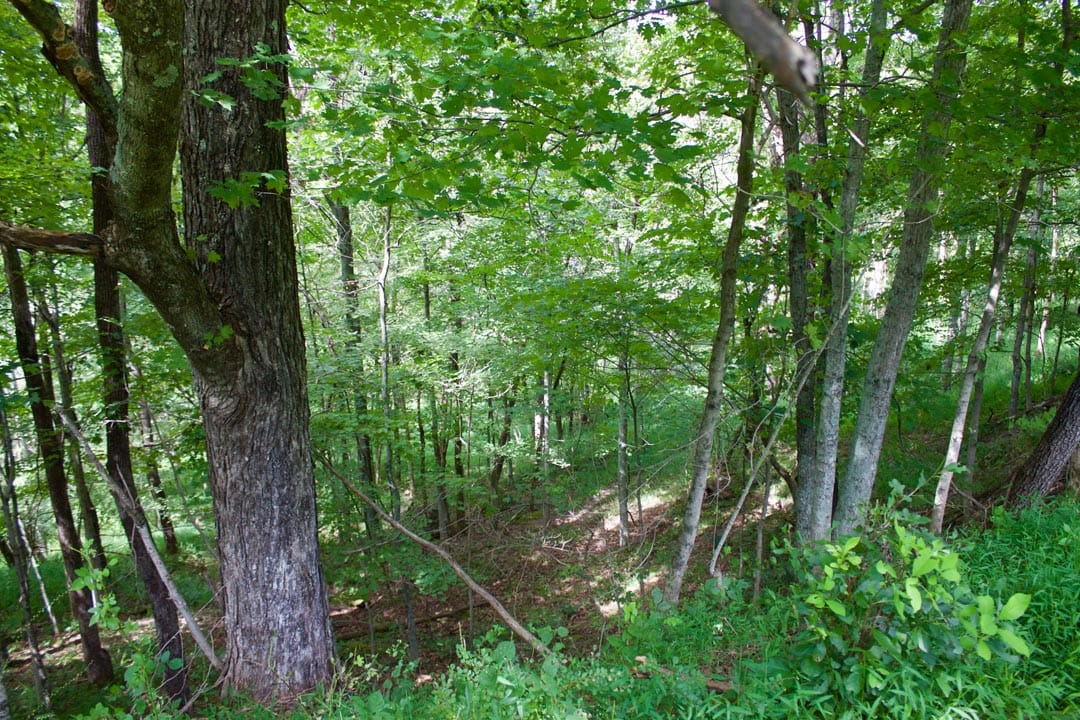 Heritage Hollow Tract 20 photo 6
