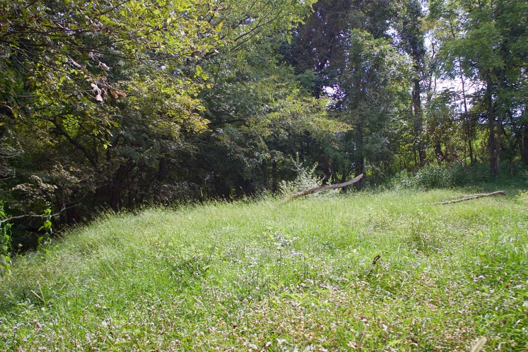 Heritage Hollow Tract 20 photo 10