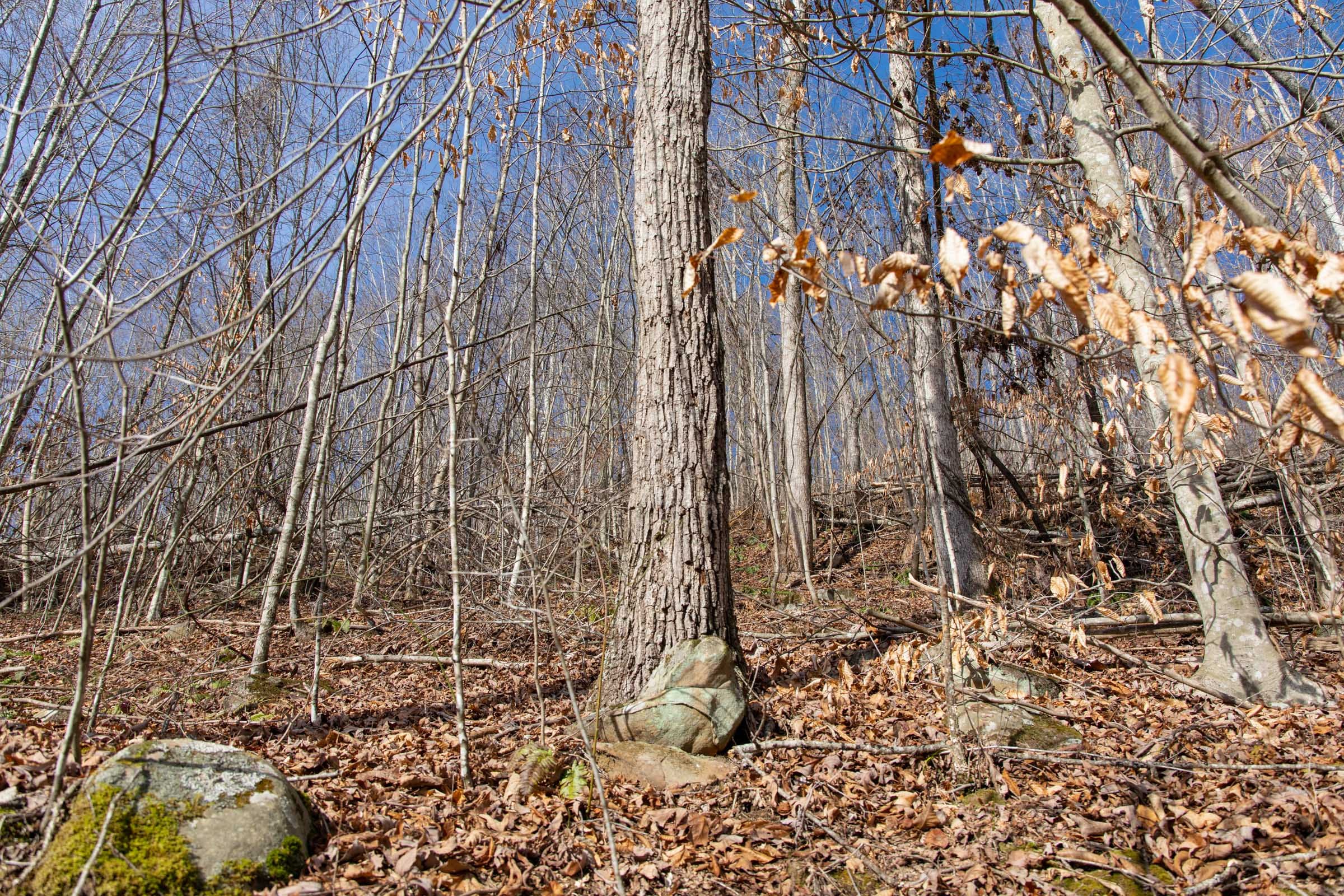 Blackstone Mountain Phase I Tract 23 photo 7